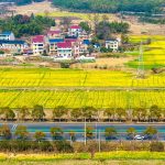 China’s Agricultural Advancements and Rural Revitalization