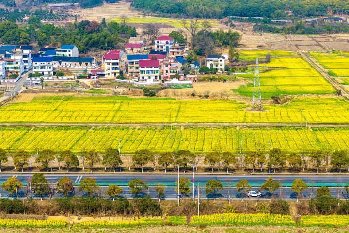 China’s Agricultural Advancements and Rural Revitalization